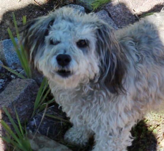 Lauri Isola – The Wheel of Life