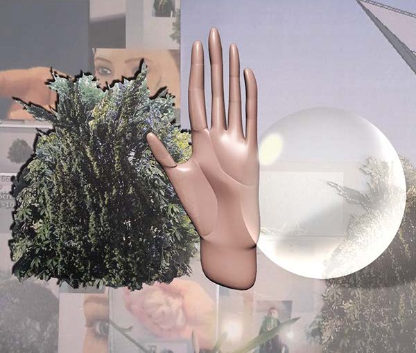 Megan Snowe – mSNOWE